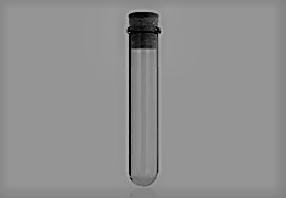 UCD Academic Centre on Rare Diseases